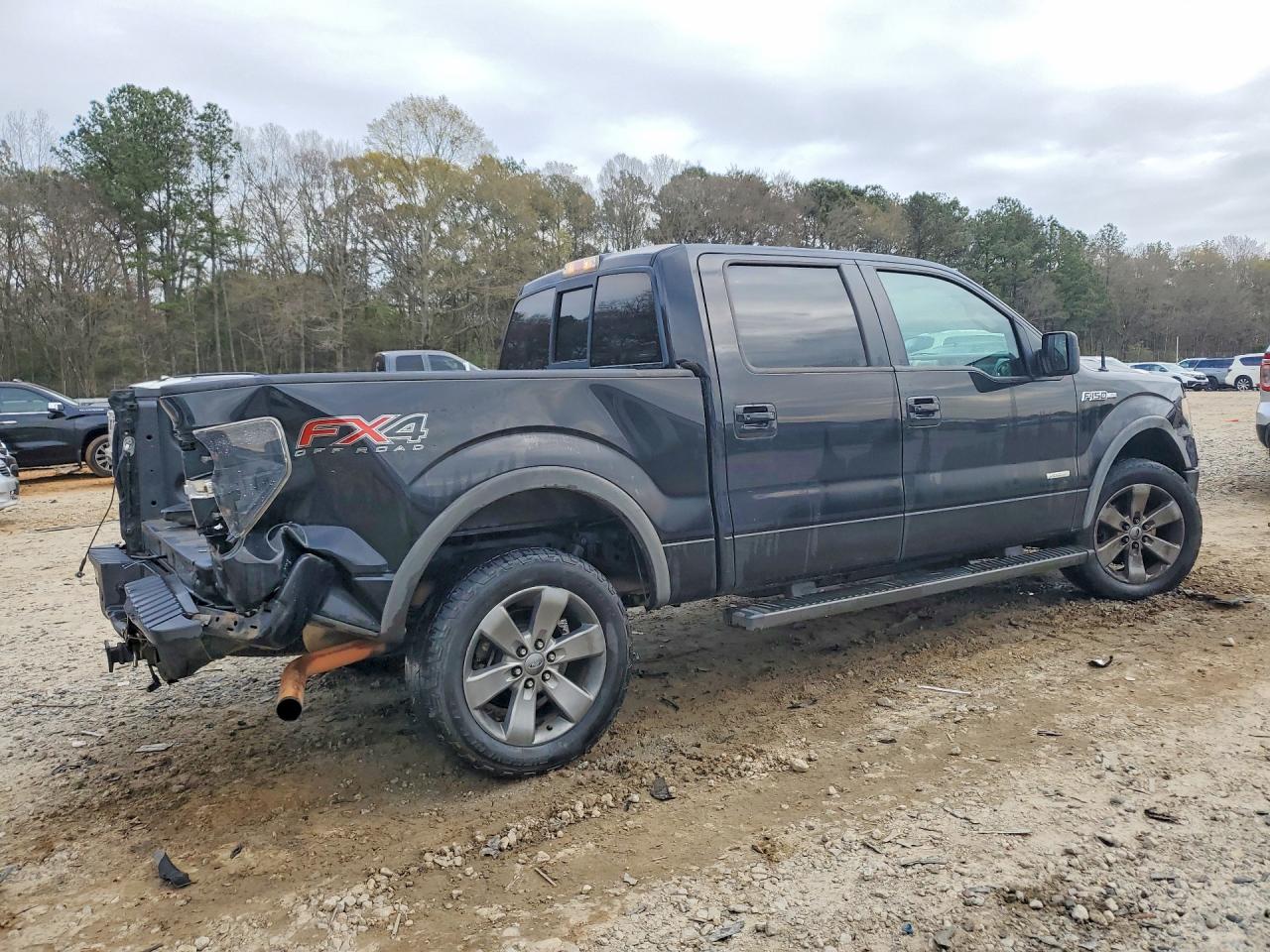 2013 FORD F150 SUPERCREW photo 3