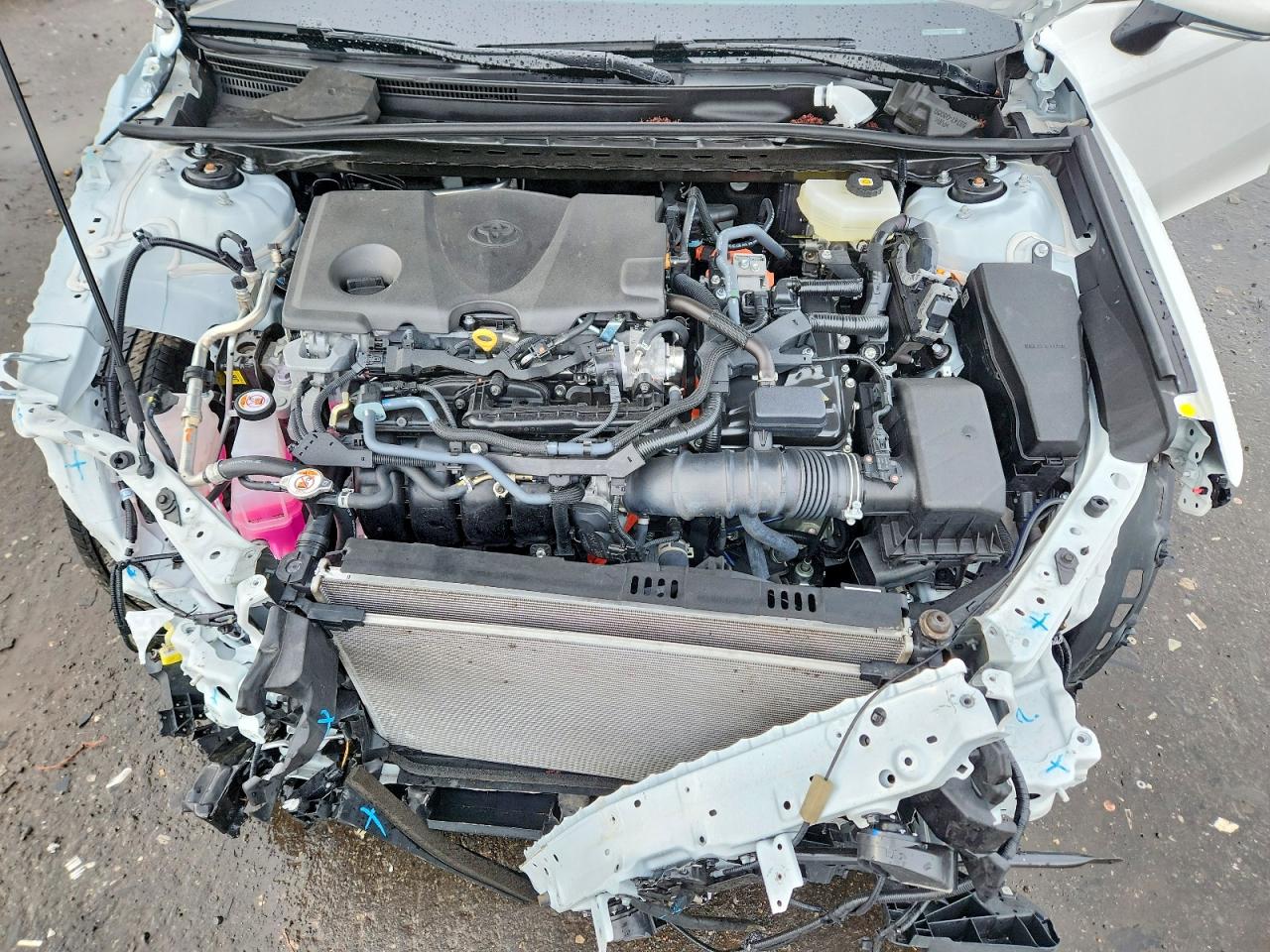 2025 TOYOTA CAMRY LE photo 11