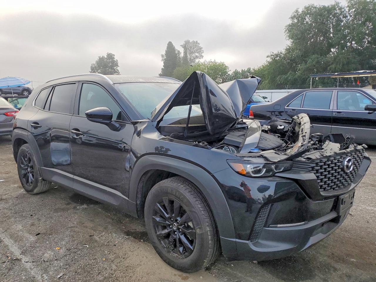 2025 MAZDA CX-50 SELECT photo 7