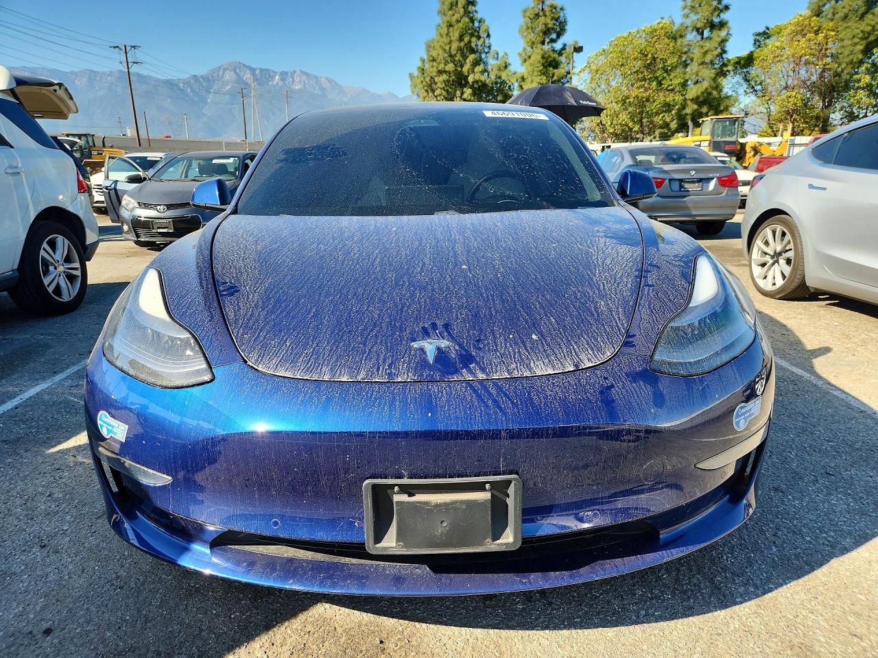 2021 TESLA MODEL 3 photo 13