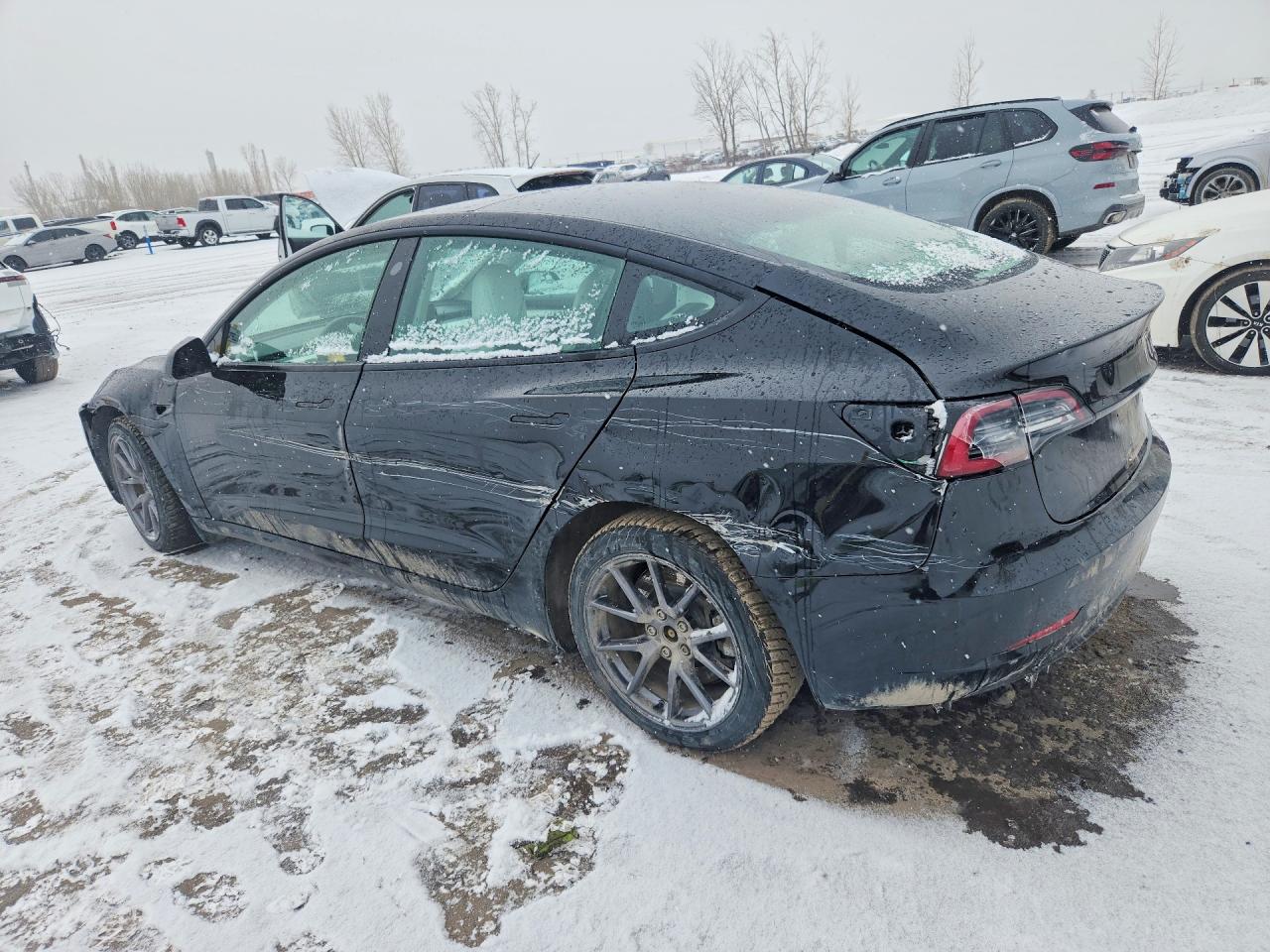 2022 TESLA MODEL 3 photo 3