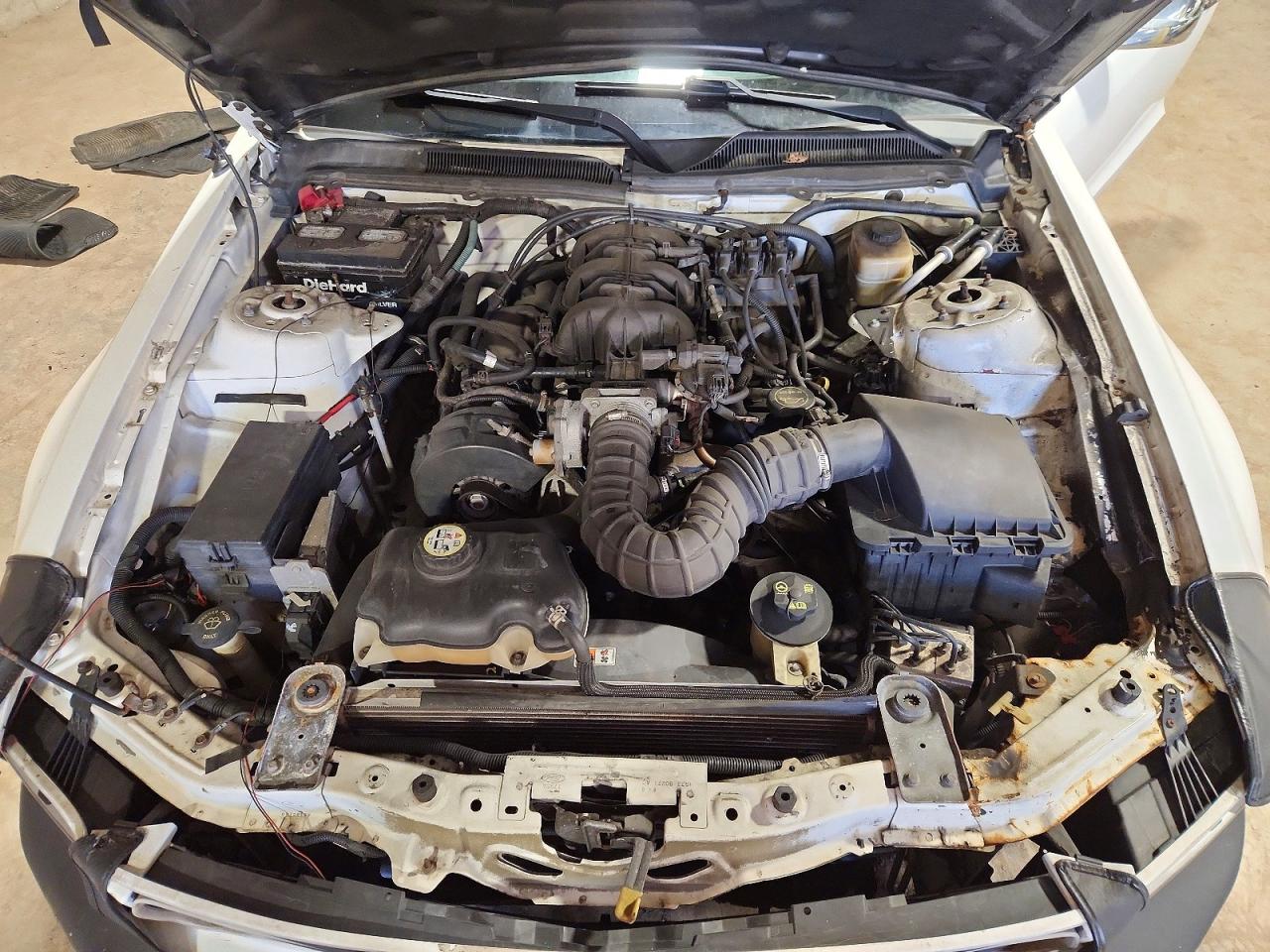 2005 FORD MUSTANG photo 11