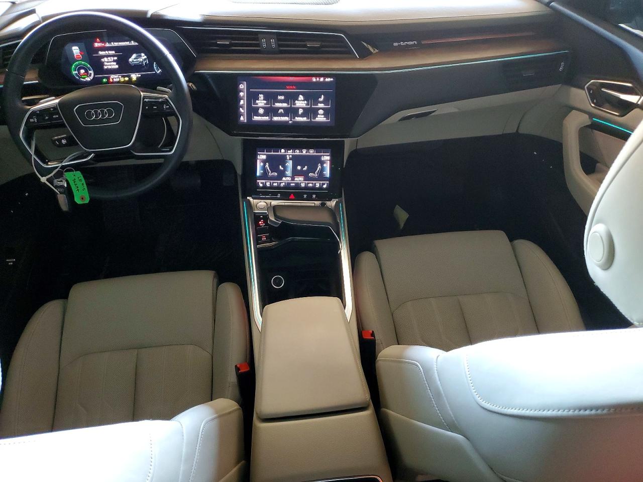 2019 AUDI E-TRON PRESTIGE photo 22
