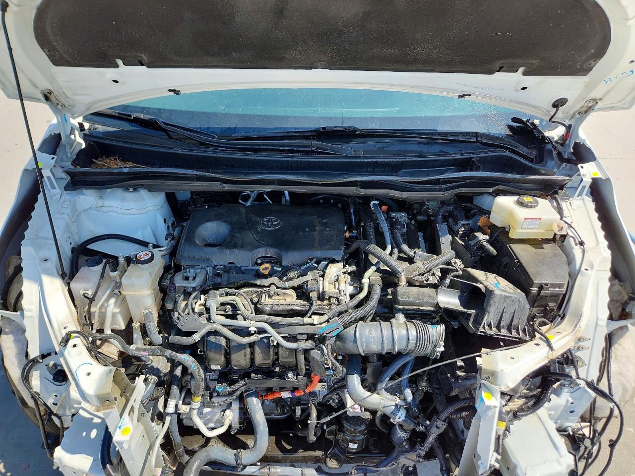 2021 TOYOTA SIENNA LE 8-PASSENGER photo 12