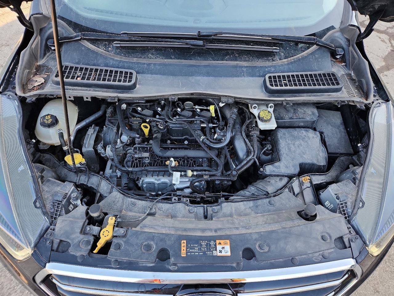 2019 FORD ESCAPE SE photo 23