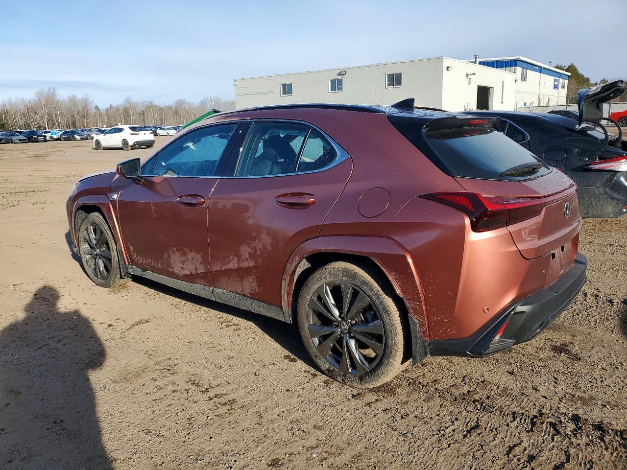 2025 LEXUS UX 300H BASE photo 4