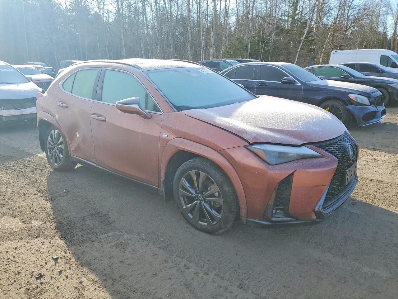 2025 LEXUS UX 300H BASE photo 10