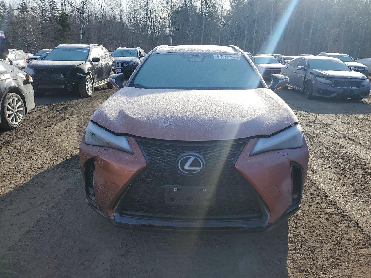 2025 LEXUS UX 300H BASE photo 13