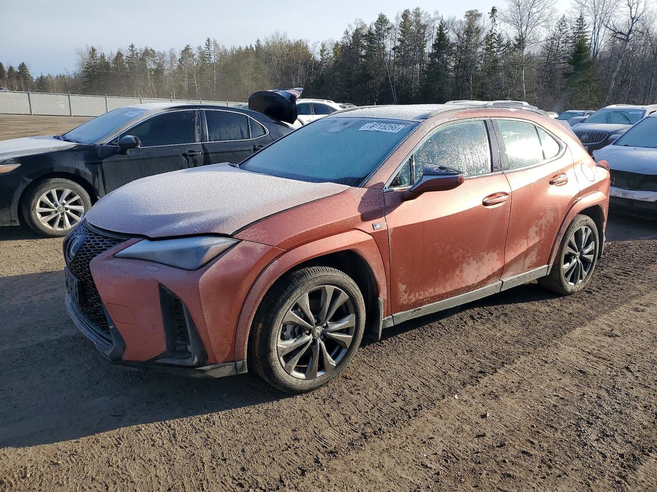 2025 LEXUS UX