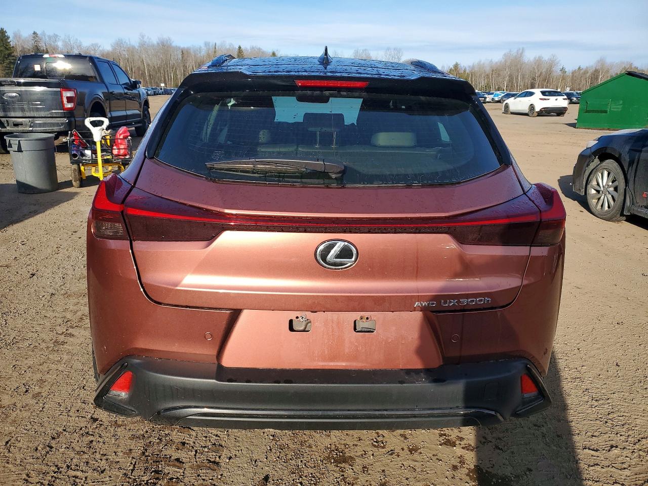 2025 LEXUS UX 300H BASE photo 16