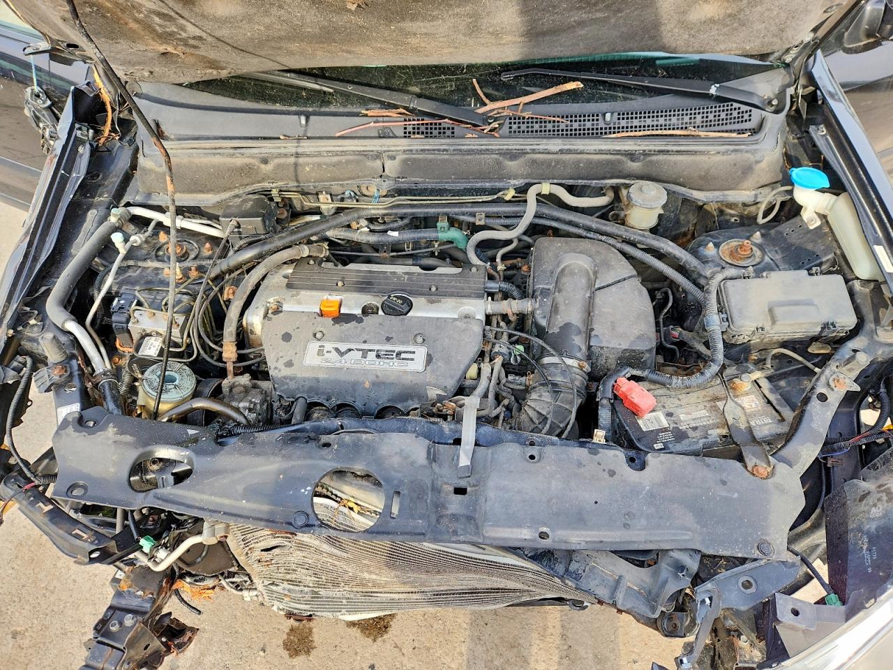 2004 HONDA CR-V EX photo 12