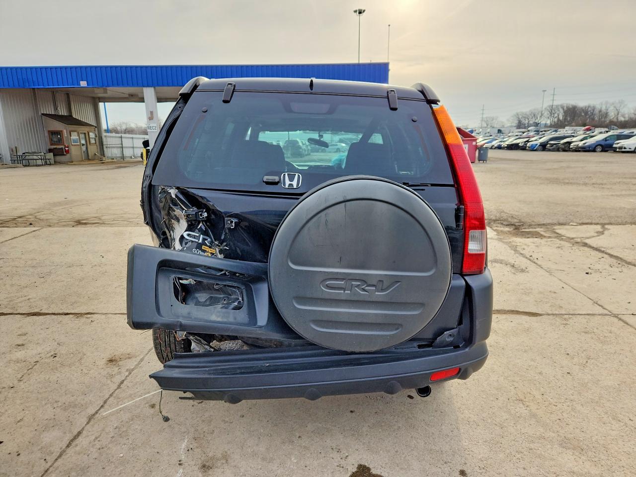 2004 HONDA CR-V EX photo 6