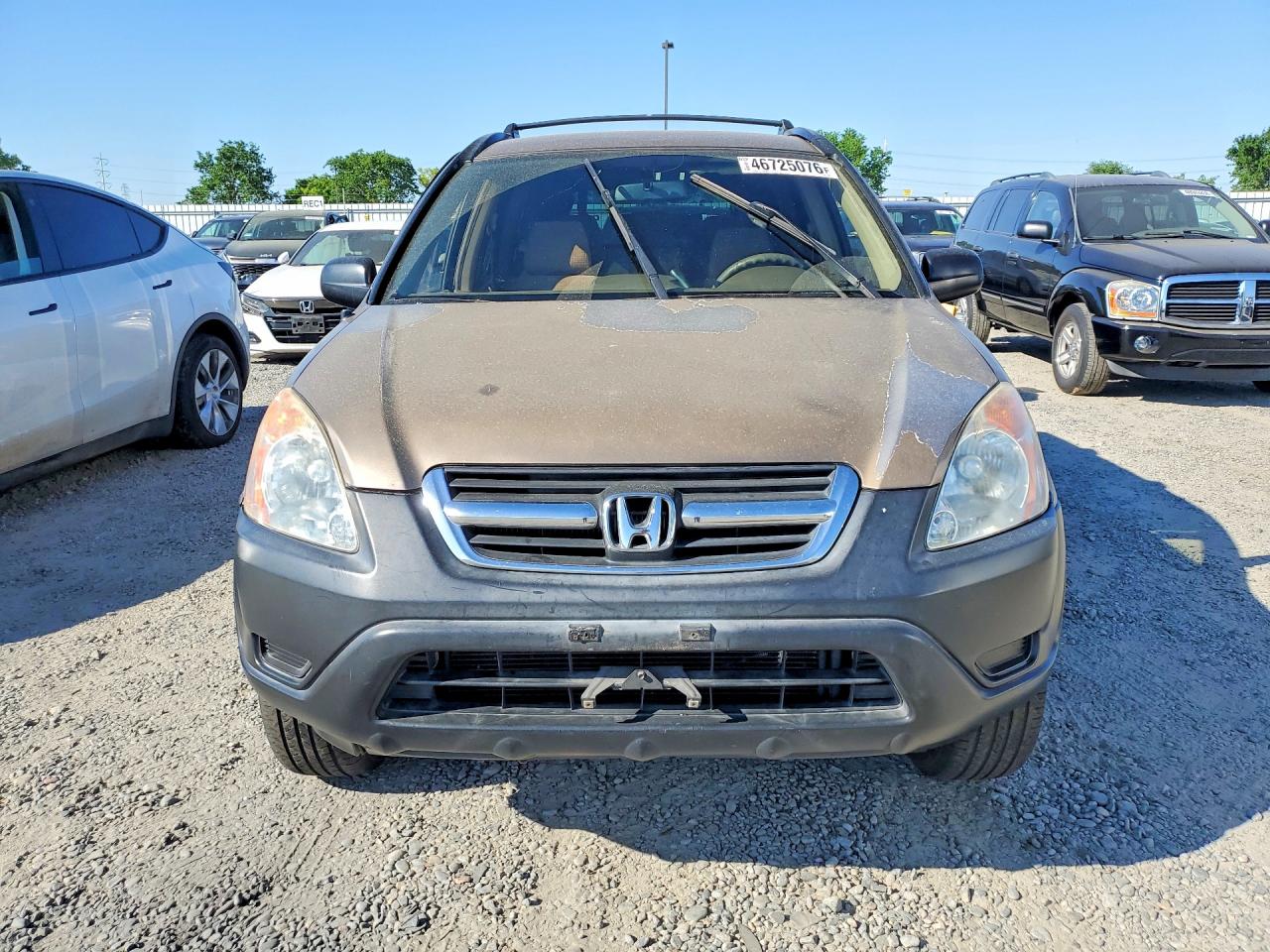 2004 HONDA CR-V LX photo 13