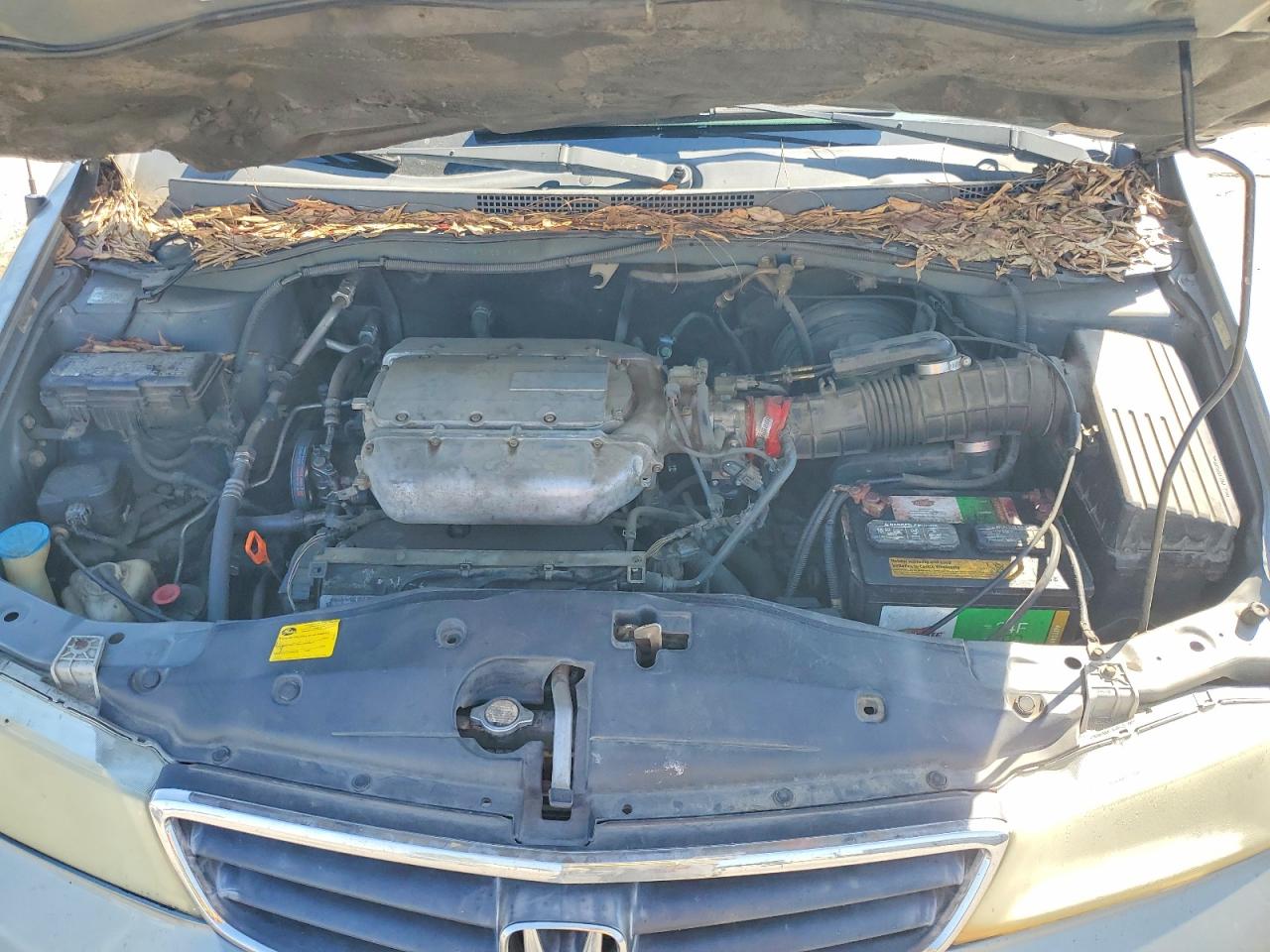 2002 HONDA ODYSSEY EXL photo 23
