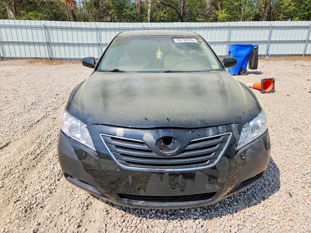 2009 TOYOTA CAMRY XLE photo 9