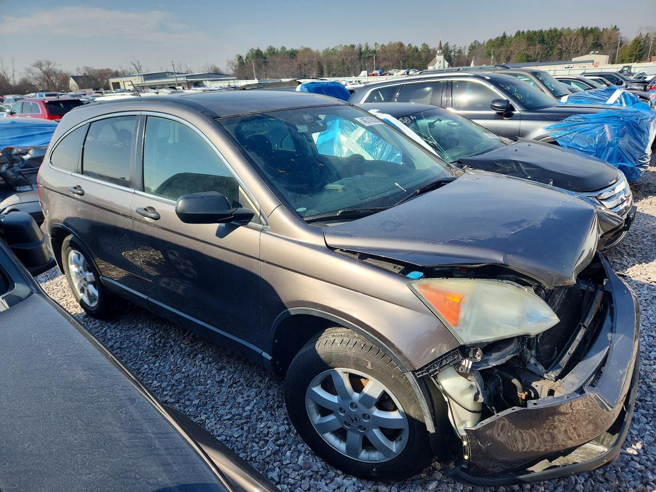 2009 HONDA CR-V EX photo 10