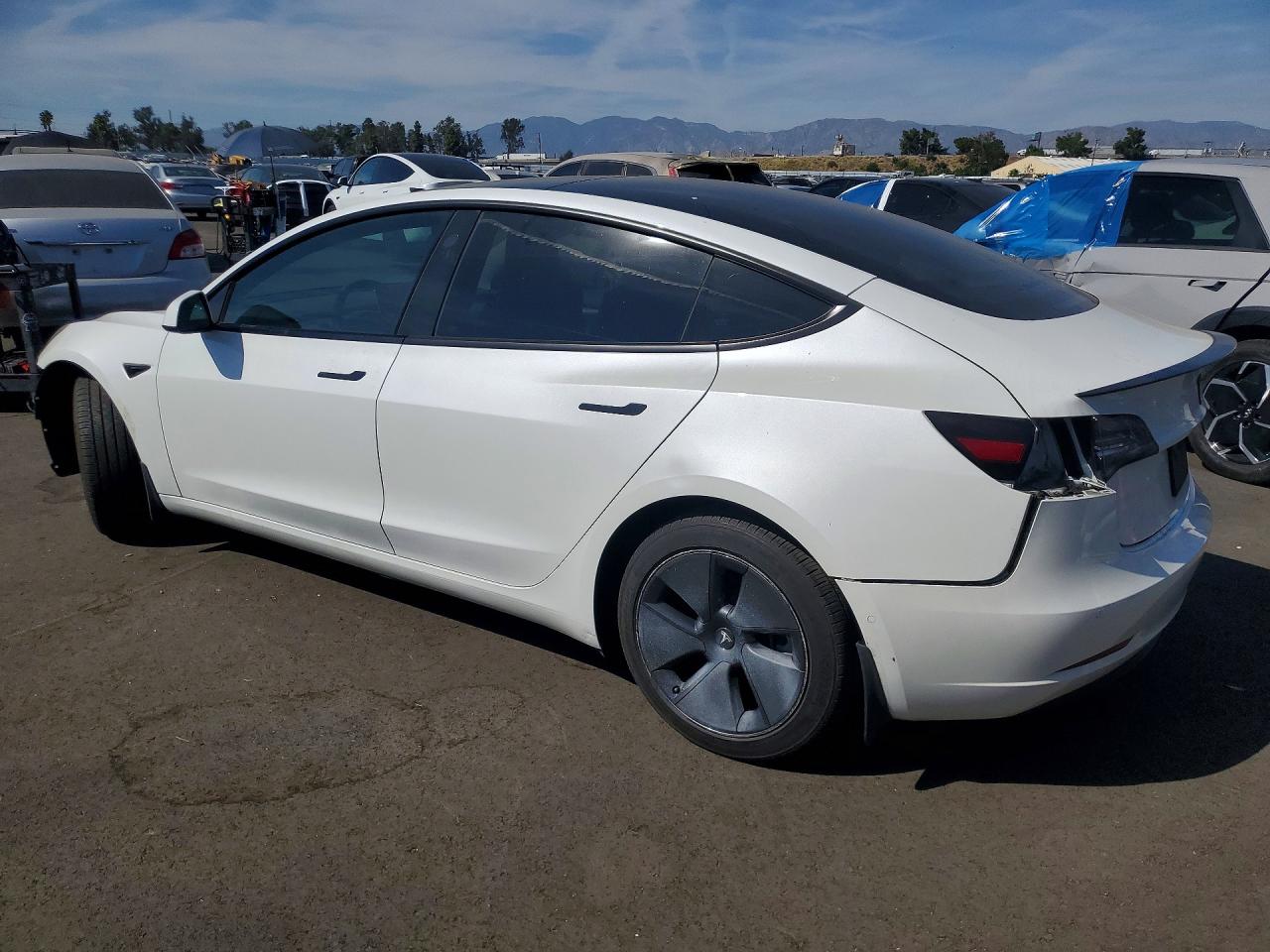 2022 TESLA MODEL 3 photo 5