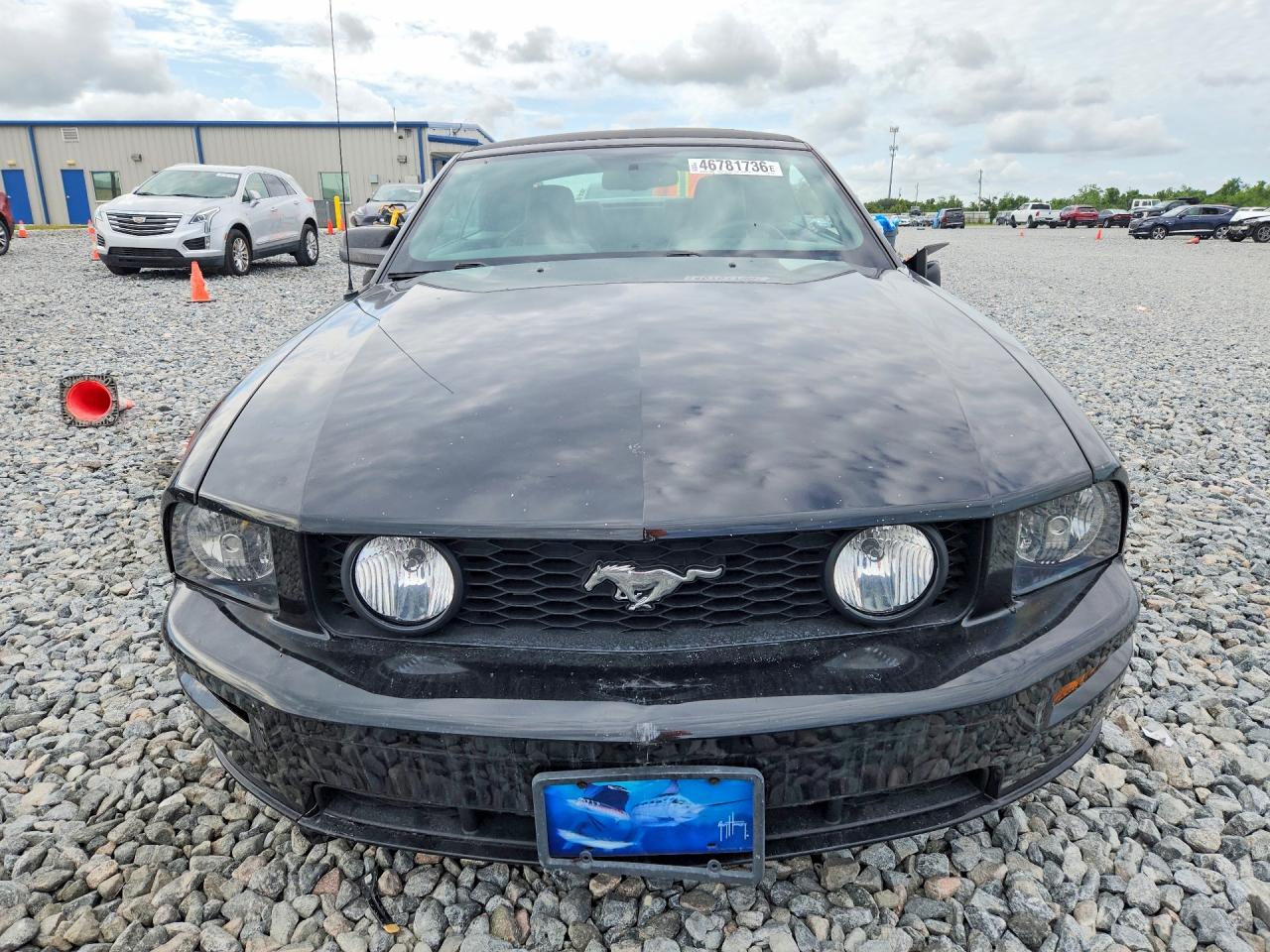 2008 FORD MUSTANG GT photo 5