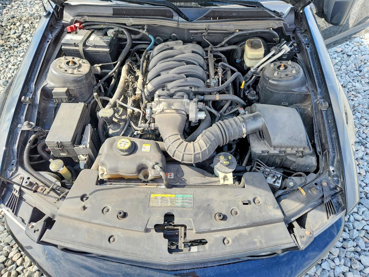 2008 FORD MUSTANG GT photo 11
