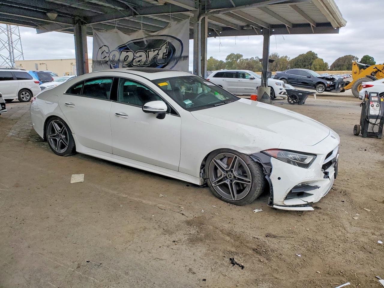2019 MERCEDES-BENZ CLS 450 photo 10