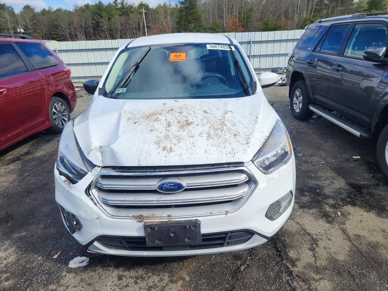 2019 FORD ESCAPE SE photo 9