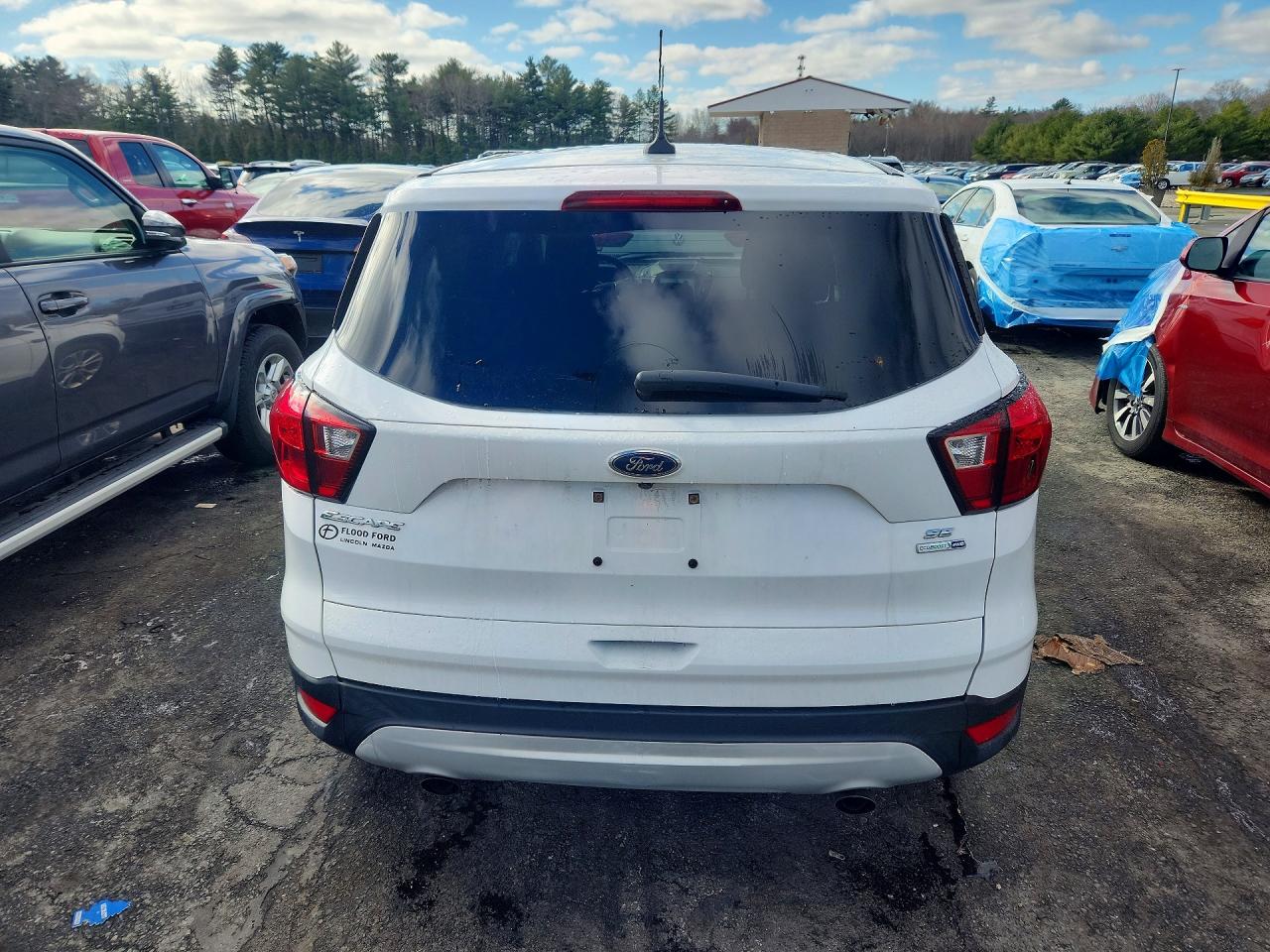 2019 FORD ESCAPE SE photo 11