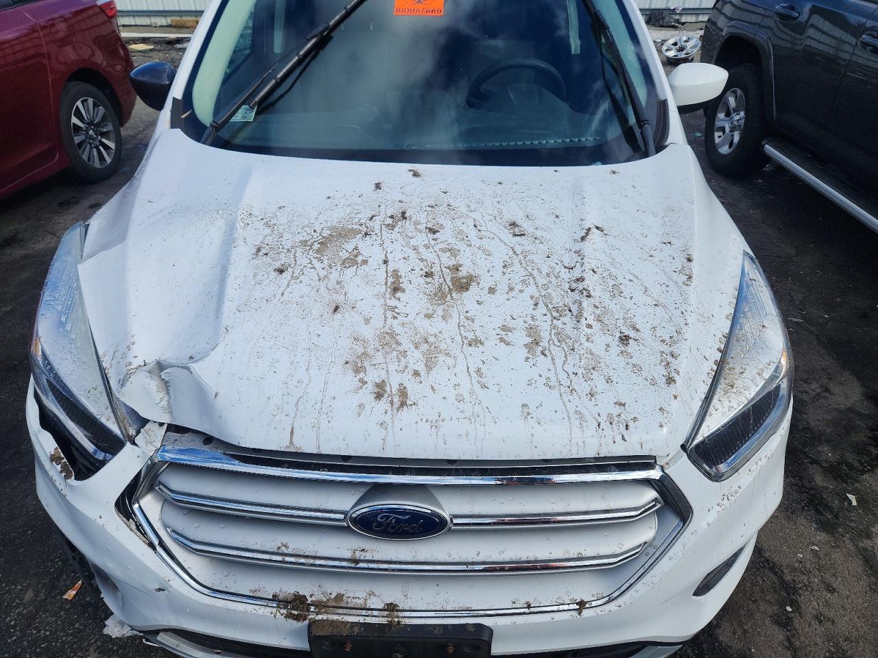2019 FORD ESCAPE SE photo 23