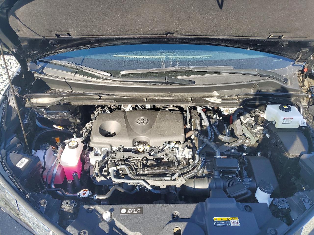 2025 TOYOTA SIENNA XLE 8-PASSENGER photo 12