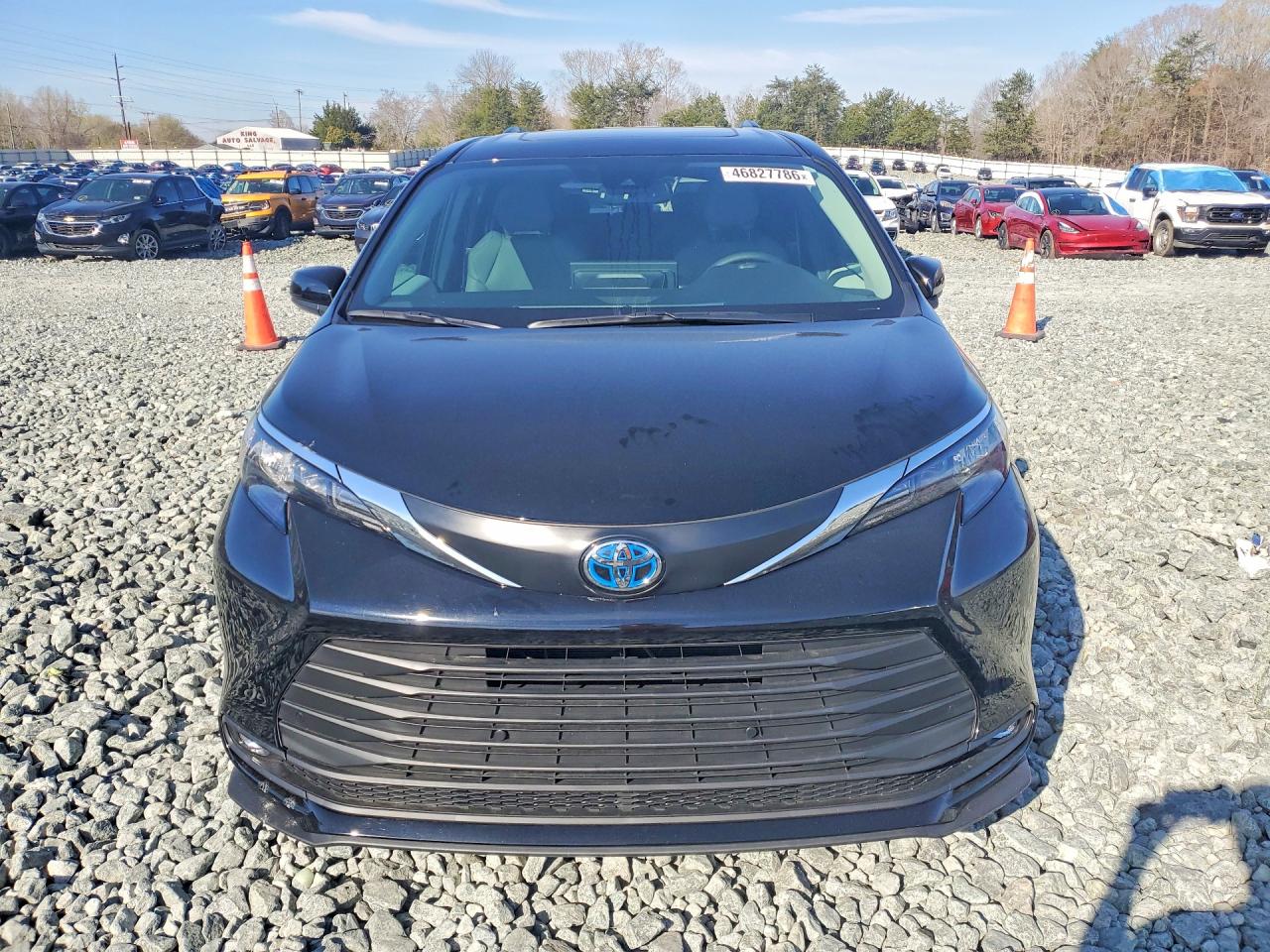2025 TOYOTA SIENNA XLE 8-PASSENGER photo 5