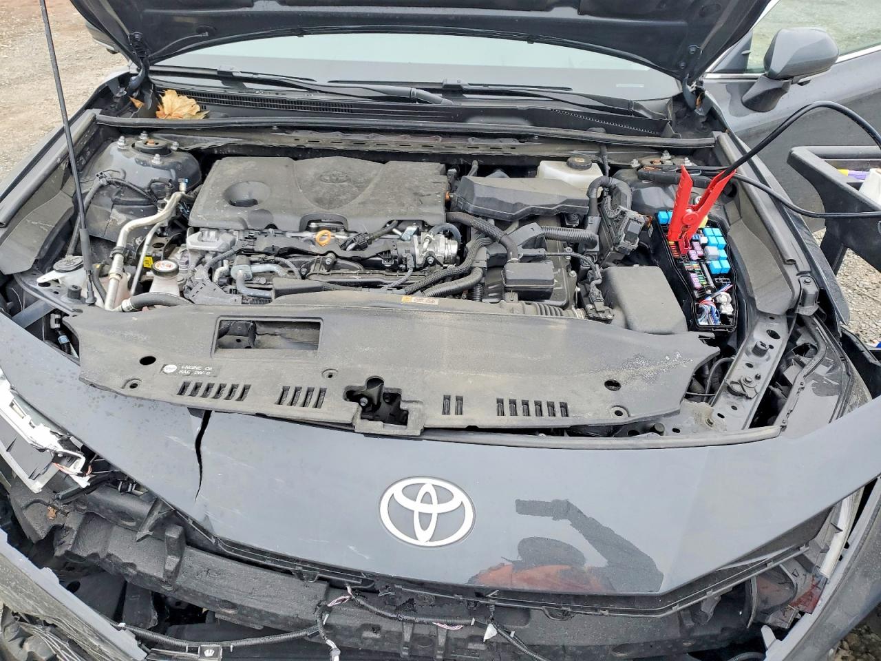 2025 TOYOTA CAMRY XLE photo 11
