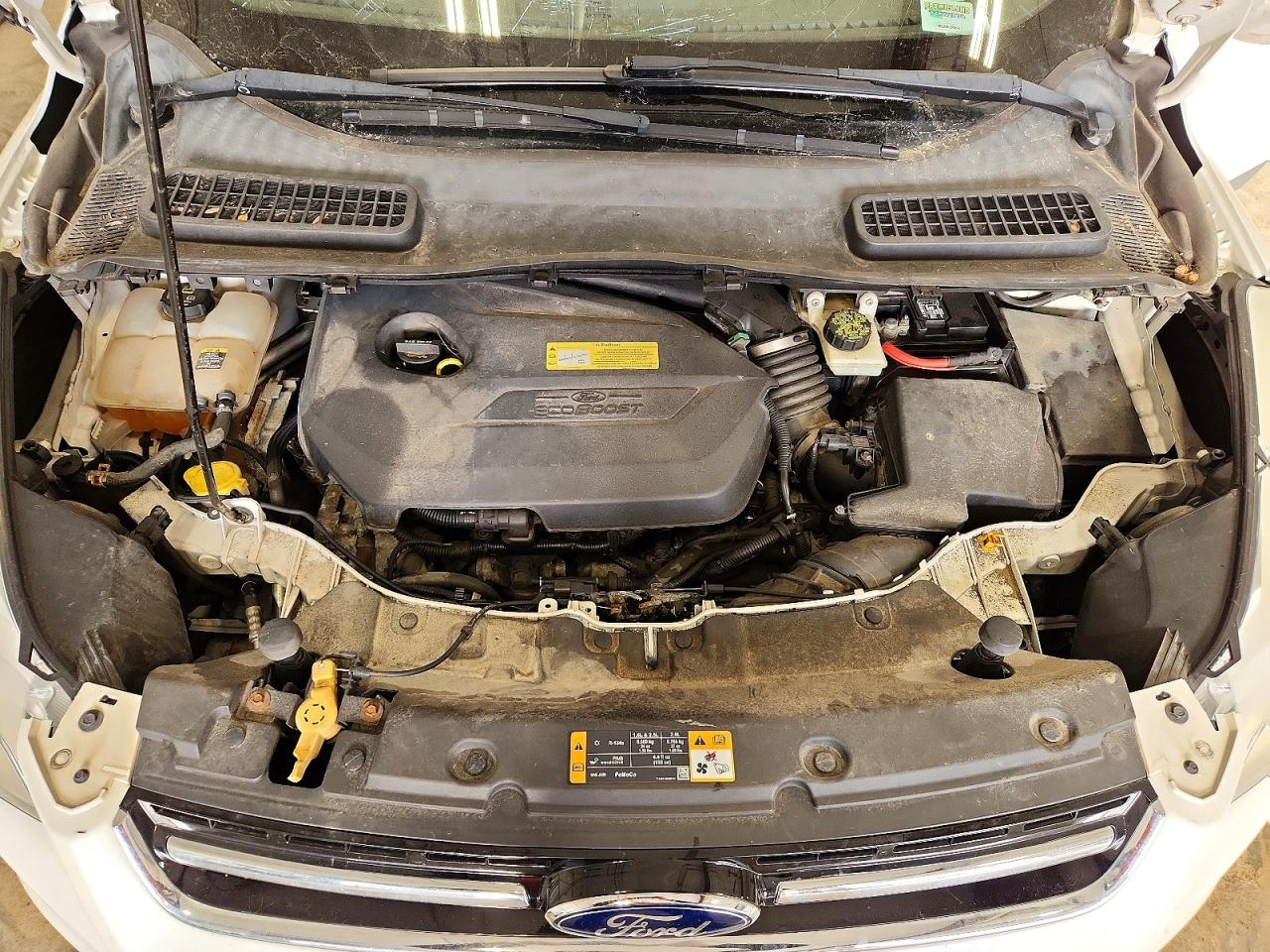2013 FORD ESCAPE photo 11