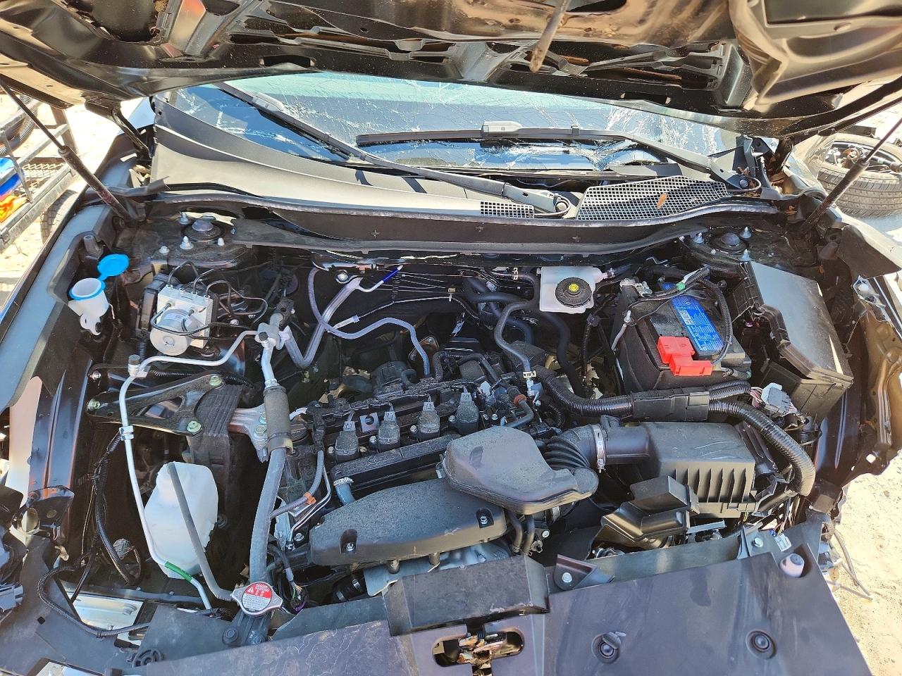 2025 HONDA CR-V LX photo 12