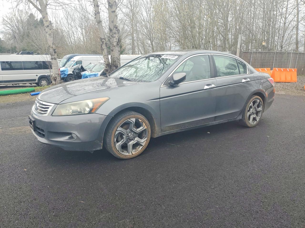 2010 HONDA ACCORD