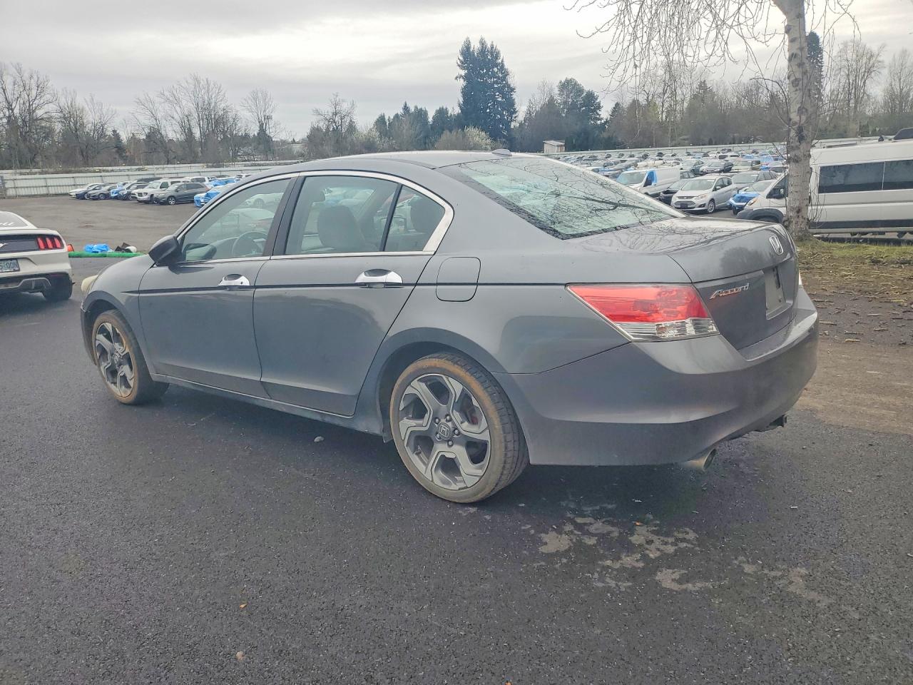 2010 HONDA ACCORD EXL photo 3