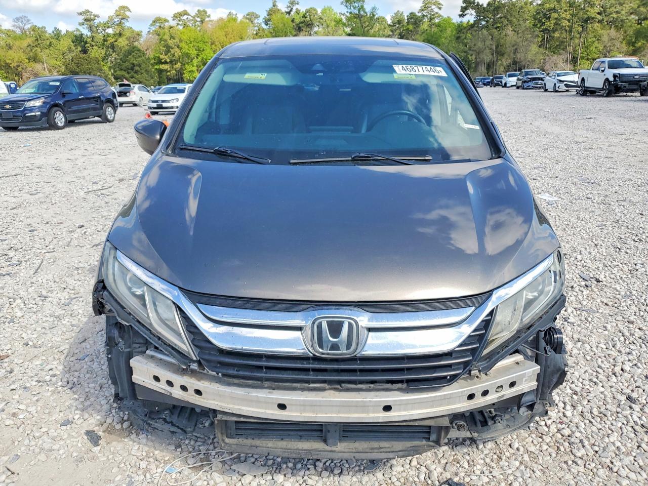 2019 HONDA ODYSSEY EXL photo 5