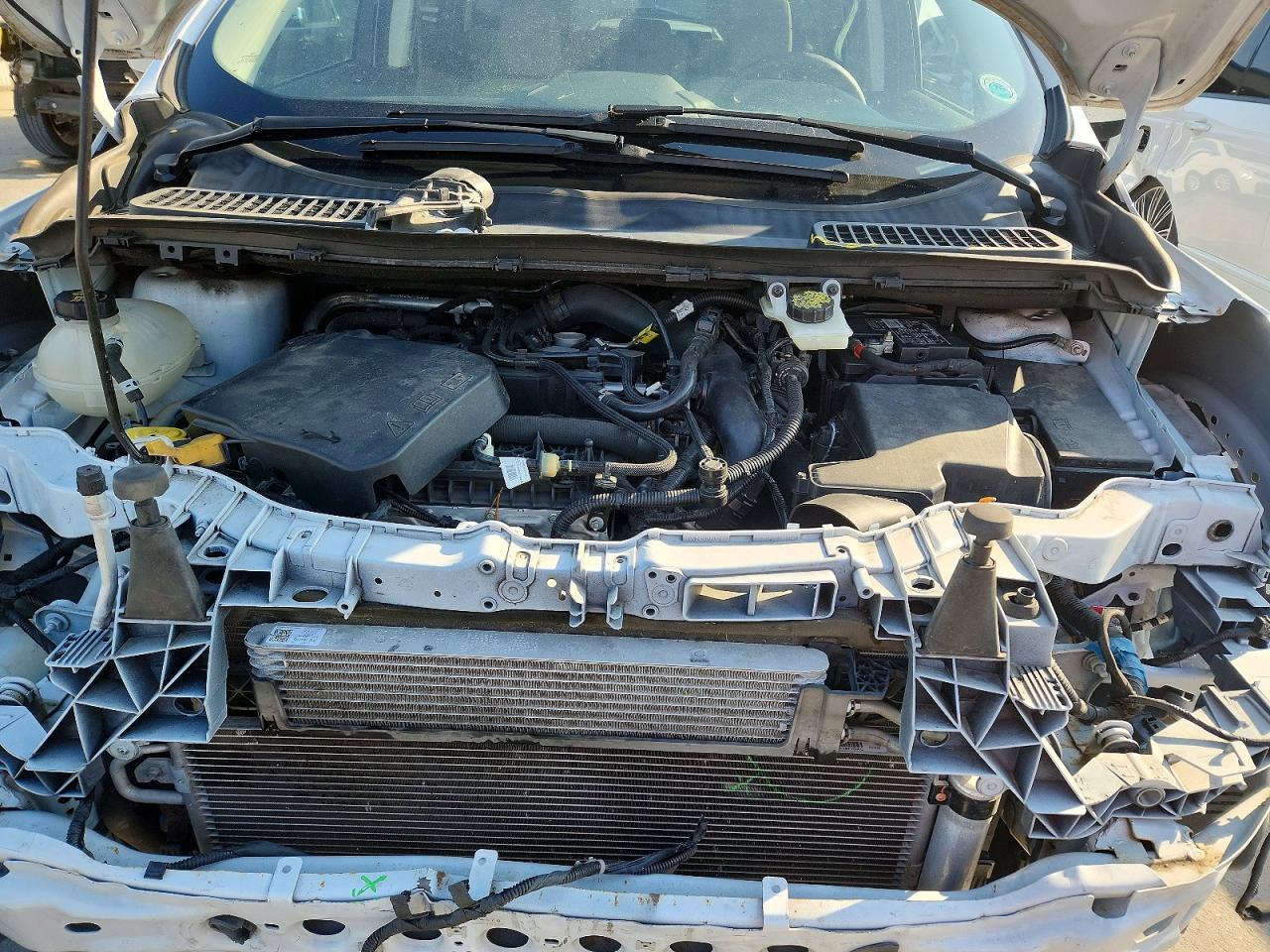 2019 FORD ESCAPE SE photo 12