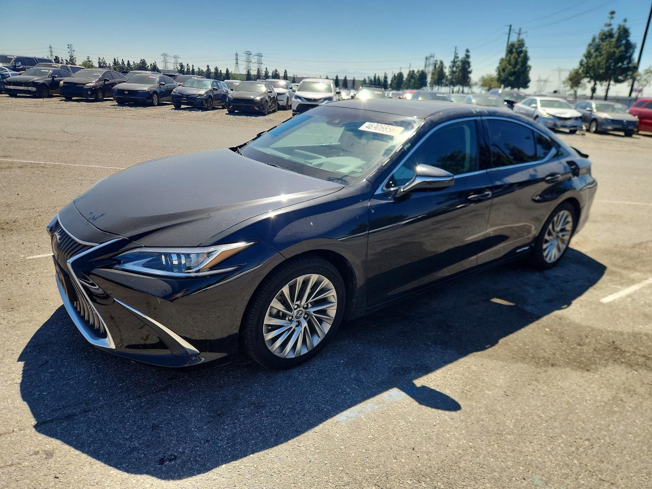 2019 LEXUS ES