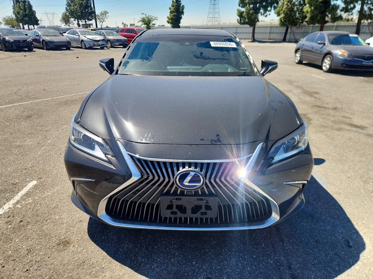 2019 LEXUS ES 300H photo 13