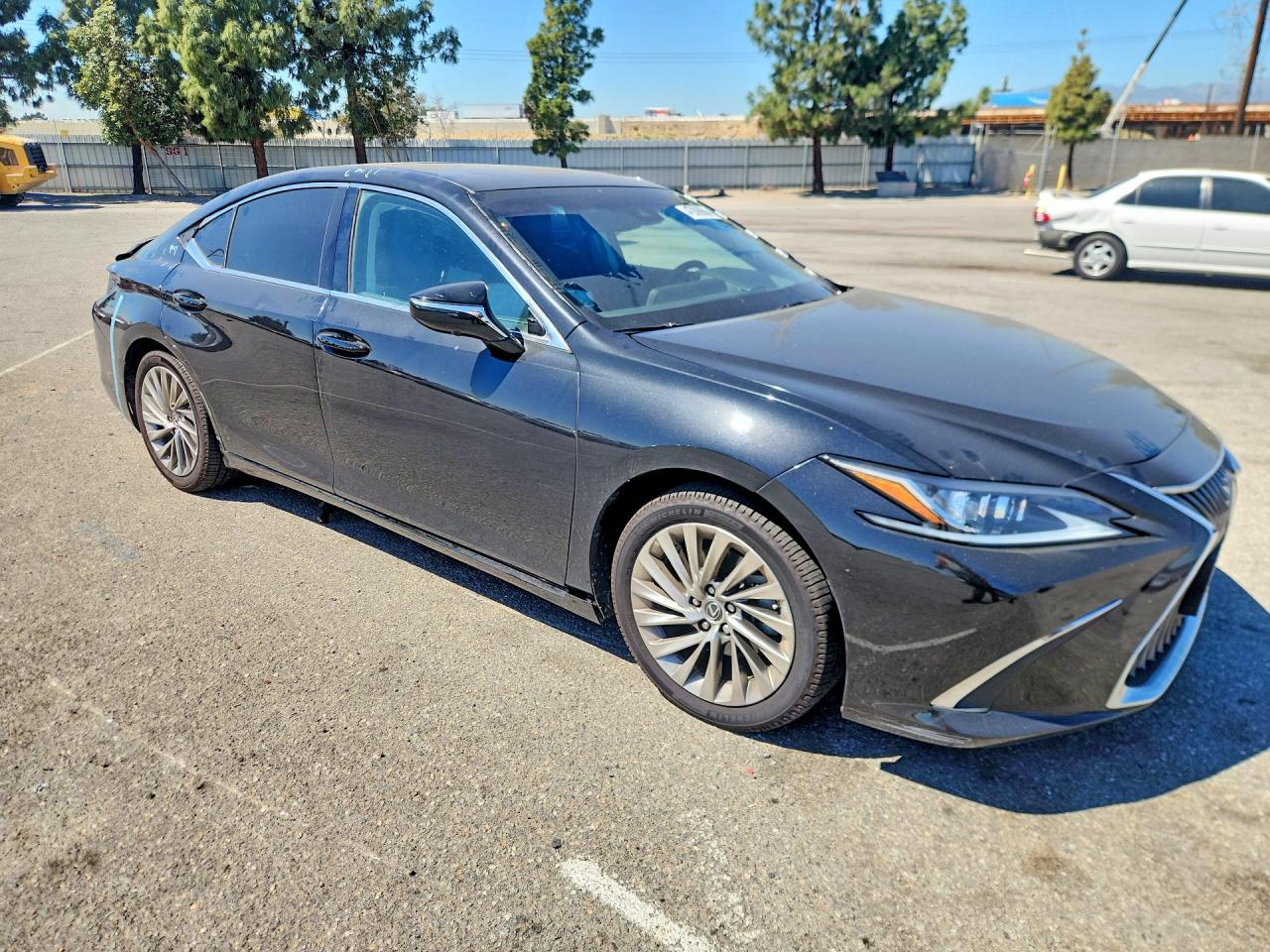 2019 LEXUS ES 300H photo 10
