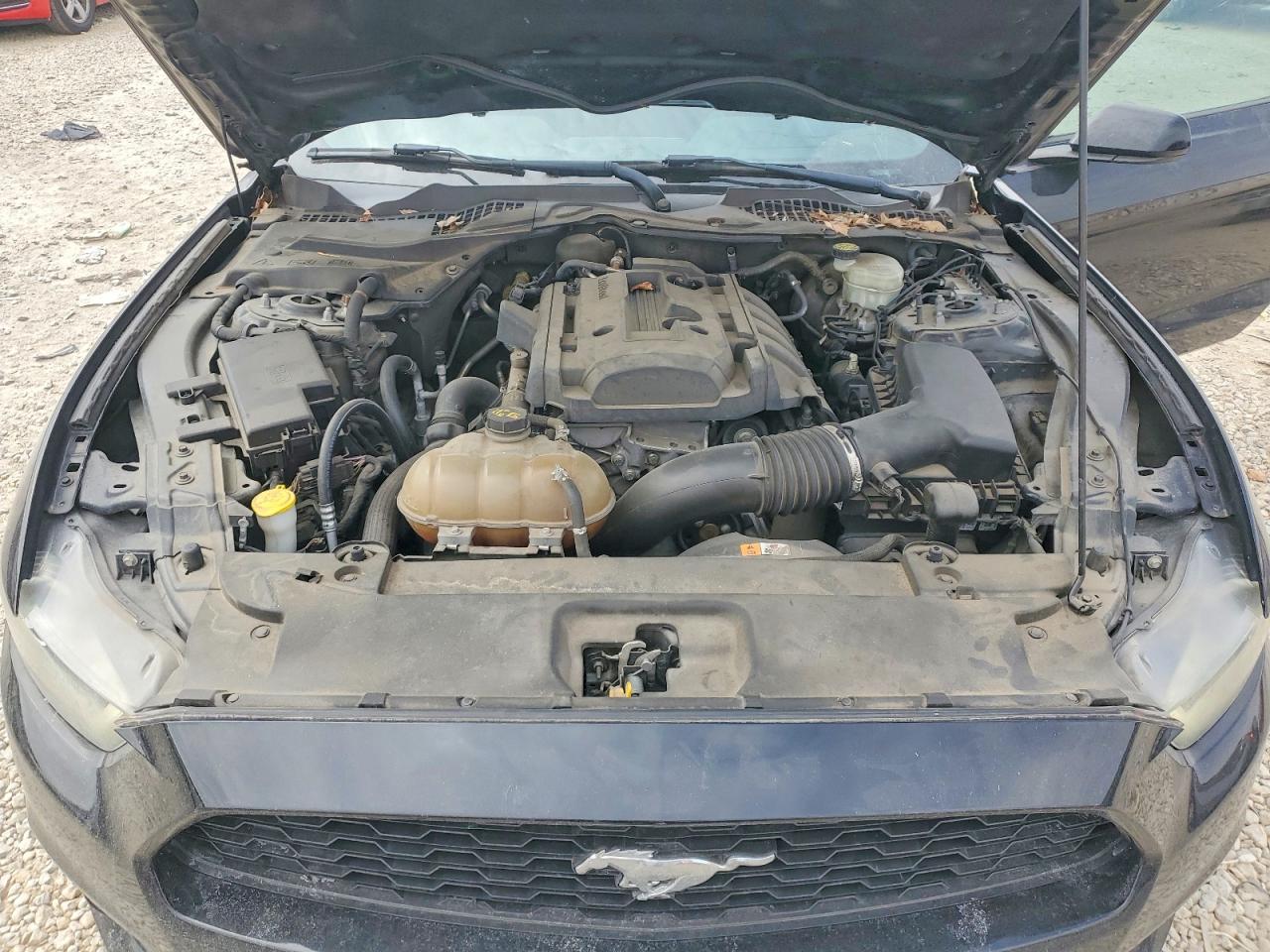 2015 FORD MUSTANG photo 21