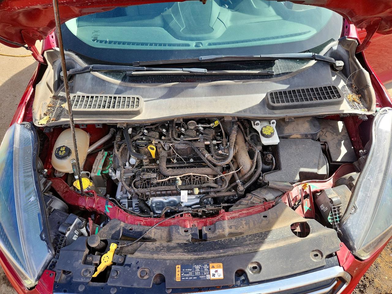 2019 FORD ESCAPE SE photo 31