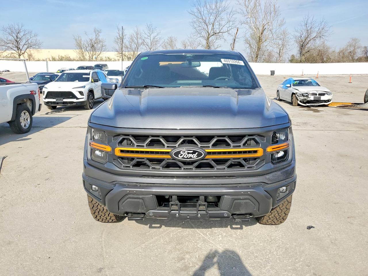 2025 FORD F150 TREMOR photo 9