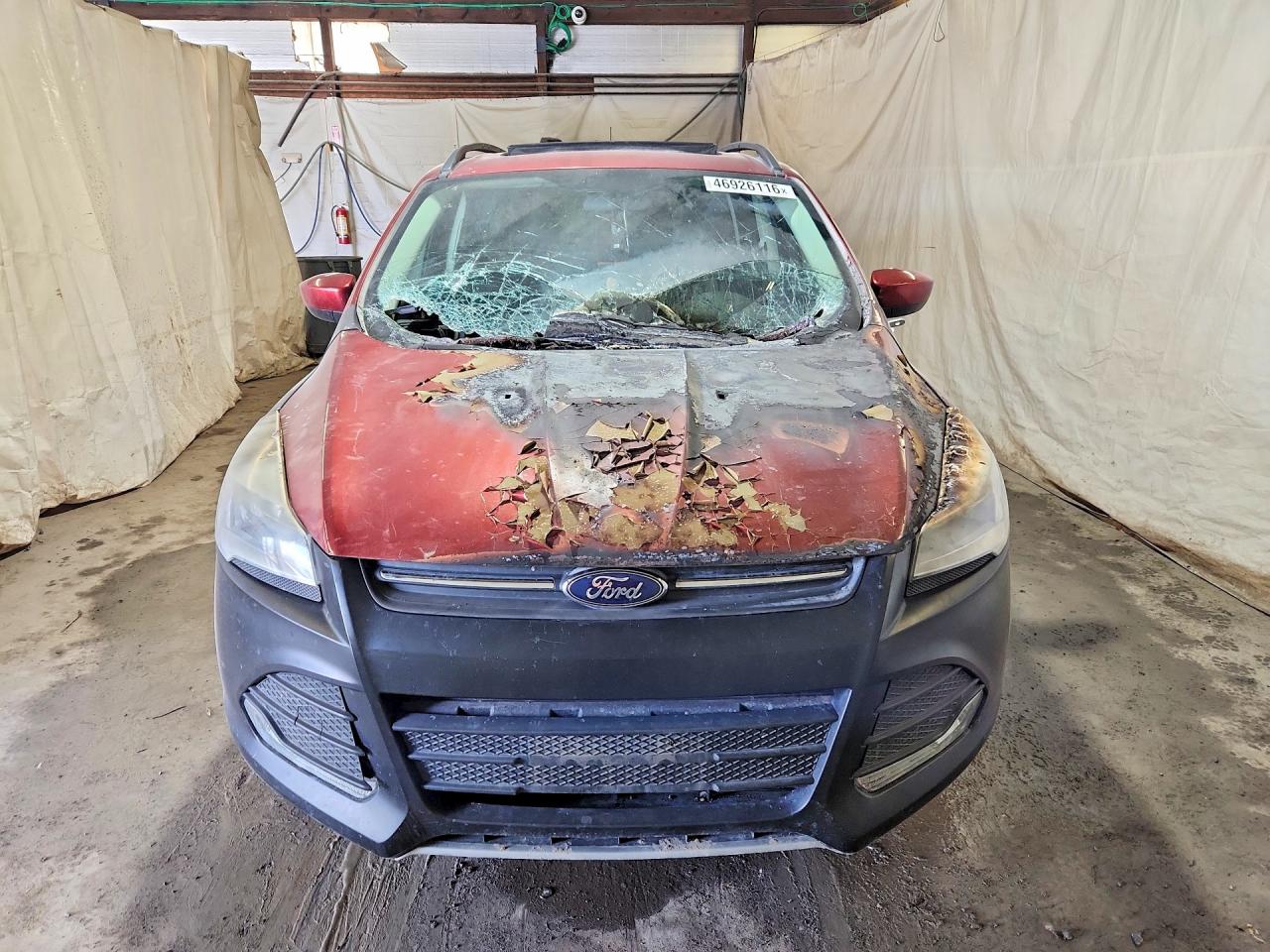 2014 FORD ESCAPE SE photo 5