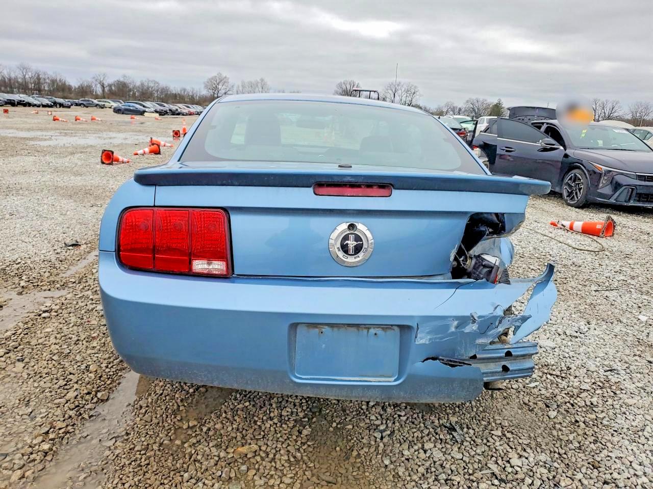 2007 FORD MUSTANG photo 11