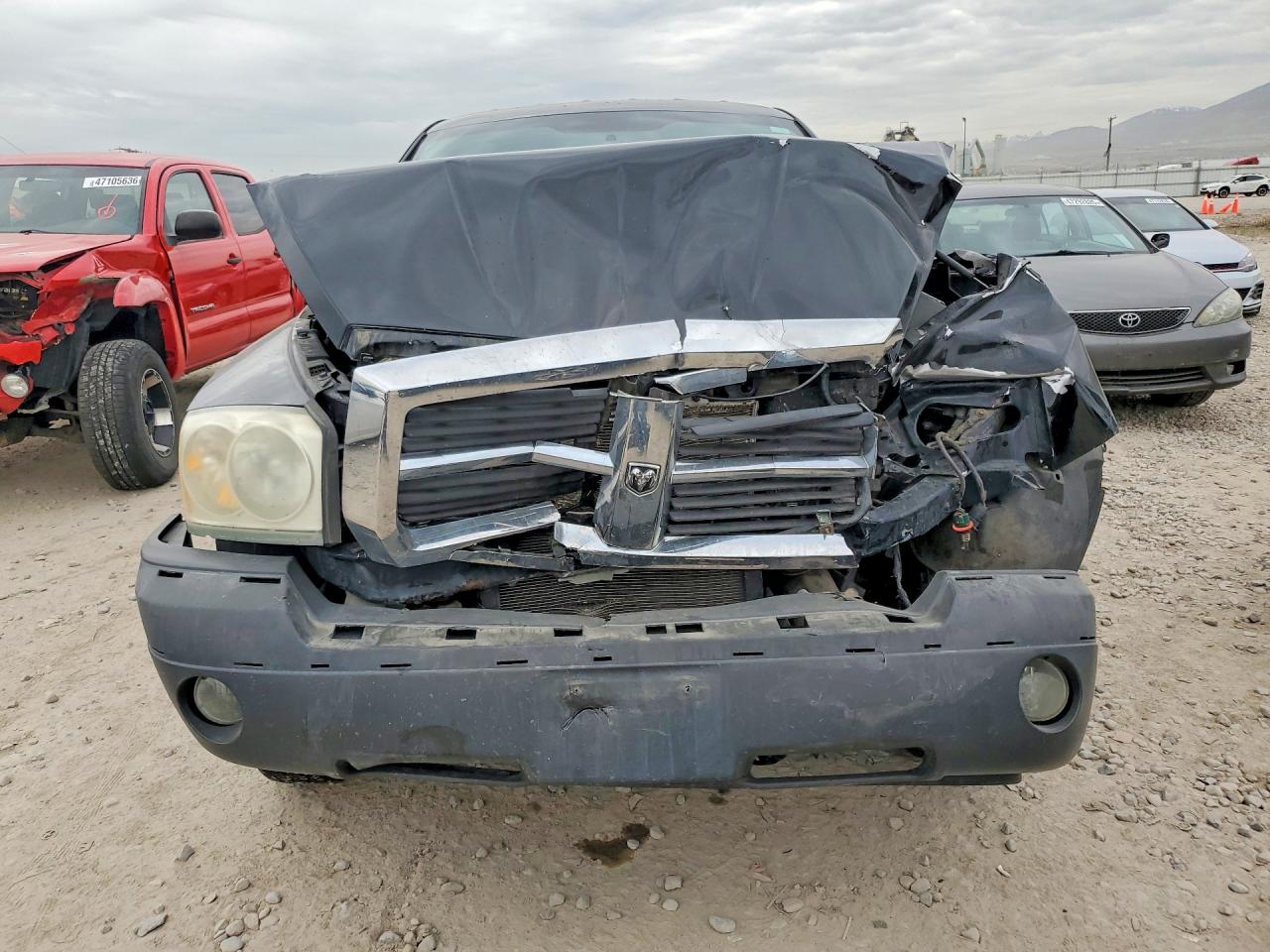 2005 DODGE DAKOTA QUAD SLT photo 13