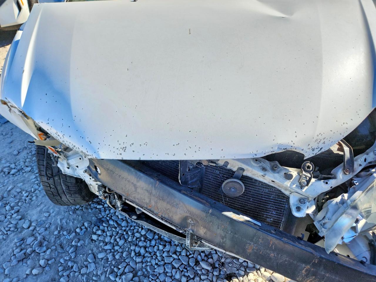 2003 TOYOTA COROLLA LE photo 21