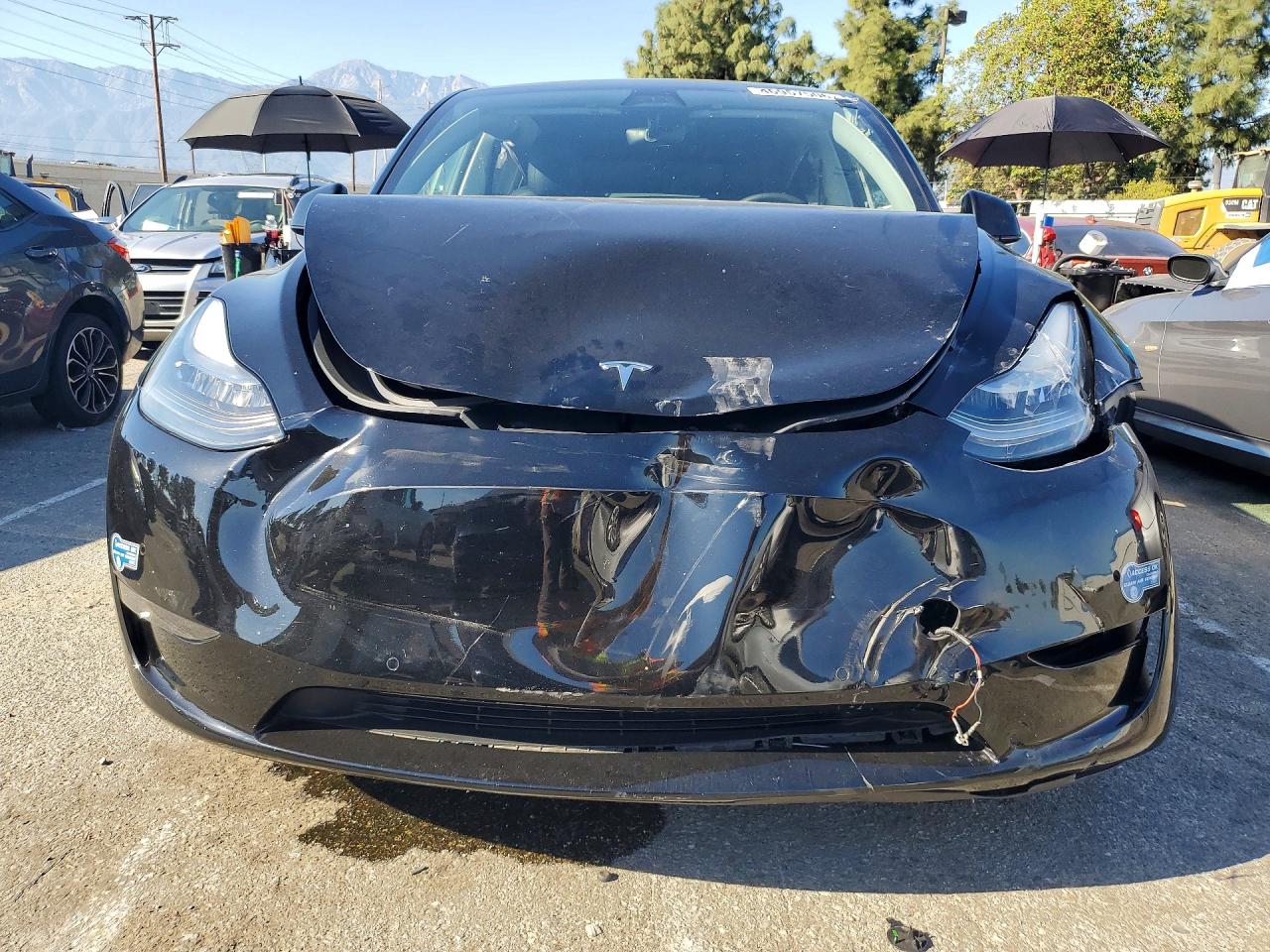 2021 TESLA MODEL Y photo 9
