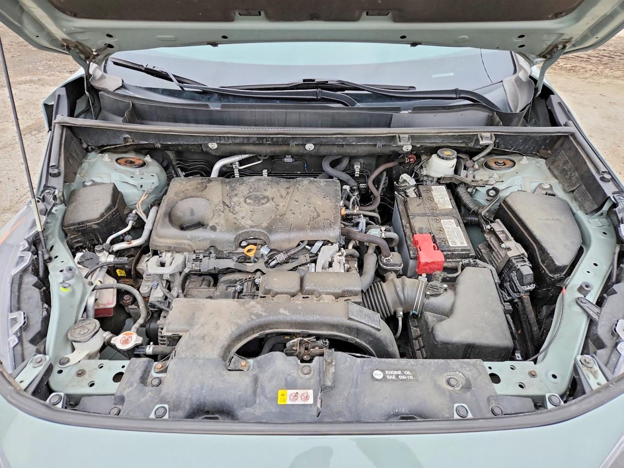 2021 TOYOTA RAV4 XLE photo 12
