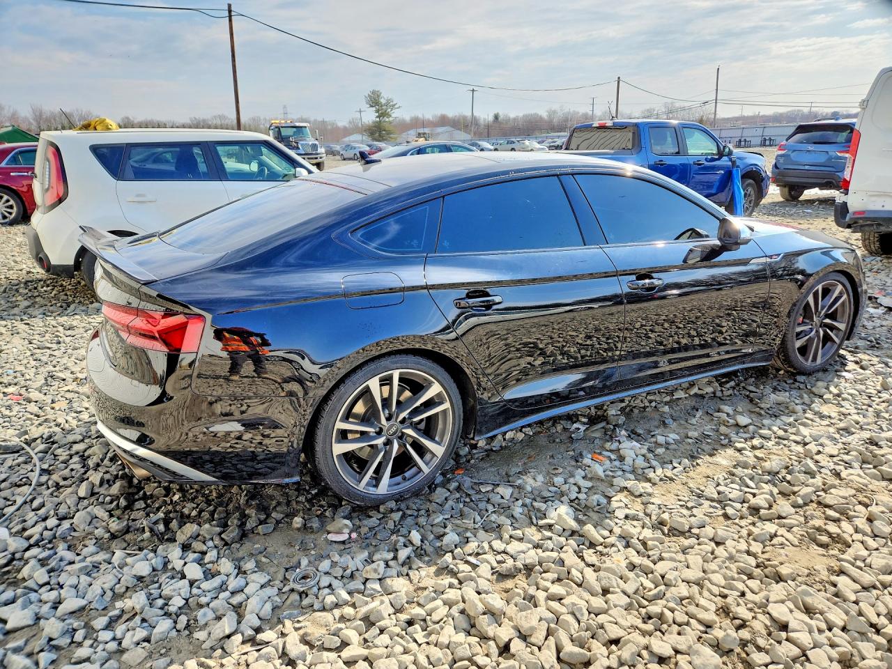 2025 AUDI S5 PREMIUM PLUS photo 7