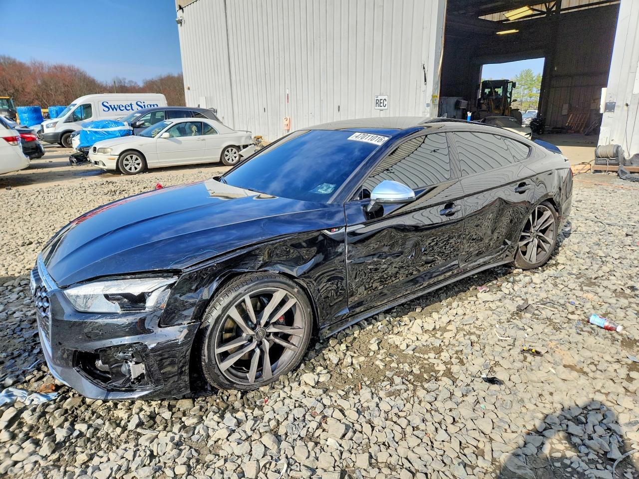 2025 AUDI S5